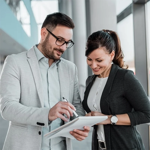 Professional Business Websites